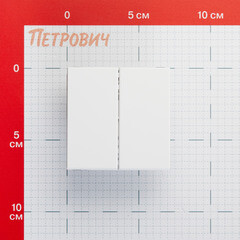 Выключатель Systeme Electric ArtGallery двухклавишный встраиваемый белый (GAL000151) - фото 2