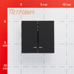 Выключатель Systeme Electric ArtGallery двухклавишный встраиваемый карбон с подсветкой (GAL001053) - фото 4