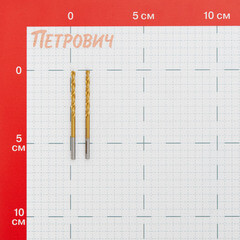 Сверло по металлу спиральное Hilberg 3х61 мм кобальтовое (2 шт.) (CO030) - фото 2