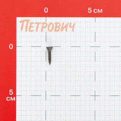 Саморезы для ГВЛ 19x3,9 мм (200 шт.) - фото 2