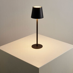 Лампа настольная светодиодная 4500К 2 Вт Arte Lamp Fuyue (A1614LT-1BK) - фото 2