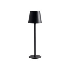 Лампа настольная светодиодная 4500К 2 Вт Arte Lamp Fuyue (A1614LT-1BK) - фото 1