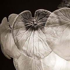 Люстра подвесная Arte Lamp Kapri E14 360 Вт 12 кв.м (A4078LM-9CC) - фото 5