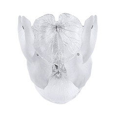 Изображение товара Бра Arte Lamp Kapri E14 80 Вт 220 В хром IP20 (A4078AP-2CC)