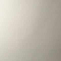 Обои компакт-винил на флизелиновой основе Erismann Martinique 12193-02 (1,06х10,05 м) - фото 4