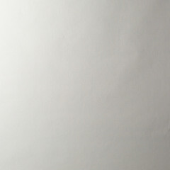 Обои компакт-винил на флизелиновой основе Erismann Martinique 12193-26 (1,06х10,05 м) - фото 4