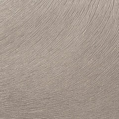 Обои компакт-винил на флизелиновой основе Victoria Stenova Trinity 286718 (1,06х10,05 м) - фото 3