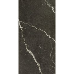 Керамогранит Coliseum Gres Michelangelo dark 1200х600х9 мм (2 шт.=1,44 кв.м) - фото 8