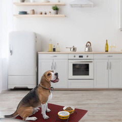 Коврик универсальный грязезащитный ЭВА Ромбы 68х48 см темно-красный - фото 4