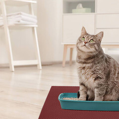 Коврик универсальный грязезащитный ЭВА Ромбы 68х48 см темно-красный - фото 2