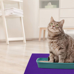 Коврик универсальный грязезащитный ЭВА Ромбы 68х48 см фиолетовый - фото 3