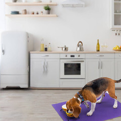 Коврик универсальный грязезащитный ЭВА Ромбы 68х48 см фиолетовый - фото 2