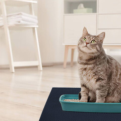 Коврик универсальный грязезащитный ЭВА Ромбы 68х48 см темно-синий - фото 2