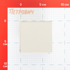 Розетка Systeme Electric ArtGallery встраиваемая песочная со шторками с крышкой (GAL001246) - фото 2