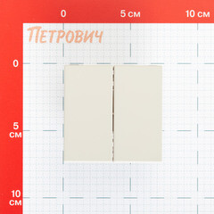 Выключатель Systeme Electric ArtGallery двухклавишный встраиваемый песочный (GAL001251) - фото 2