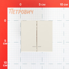 Выключатель Systeme Electric ArtGallery двухклавишный встраиваемый песочный с подсветкой (GAL001253) - фото 2