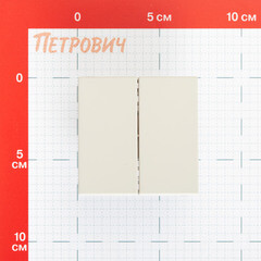 Переключатель Systeme Electric ArtGallery двухклавишный встраиваемый песочный (GAL001265) - фото 2