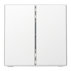 Изображение товара Переключатель Systeme Electric ArtGallery двухклавишный встраиваемый алюминий (GAL000365)