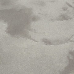 Обои компакт-винил на флизелиновой основе Palitra Life The Best HC72371-48 (1,06х10,05 м) - фото 3