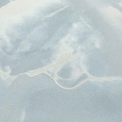 Обои компакт-винил на флизелиновой основе Palitra Family Euphoria FM72329-46 (1,06х10,05 м) - фото 3