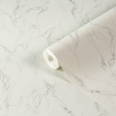 Обои компакт-винил на флизелиновой основе Palitra Trend Glam TC72289-10 (1,06х10,05 м) - фото 1