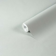 Обои компакт-винил на флизелиновой основе Palitra Trend Archway TC72251-44 (1,06х10,05 м) - фото 1