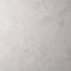 Обои компакт-винил на флизелиновой основе Victoria Stenova Isabel 287511 (1,06х10,05 м) - фото 4