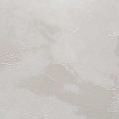 Обои компакт-винил на флизелиновой основе Victoria Stenova Isabel 287512 (1,06х10,05 м) - фото 3