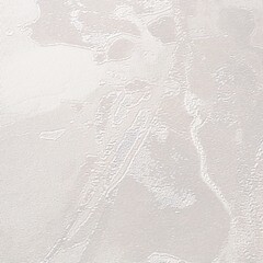 Обои компакт-винил на флизелиновой основе Victoria Stenova Isabel 287515 (1,06х10,05 м) - фото 3