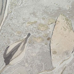 Обои компакт-винил на флизелиновой основе Victoria Stenova Lillian 286317 (1,06х10,05 м) - фото 3