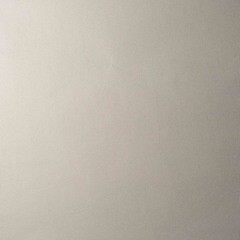 Обои вспененный винил на флизелиновой основе антивандальные Elysium Гера Е55601 (1,06х10,05 м) - фото 4