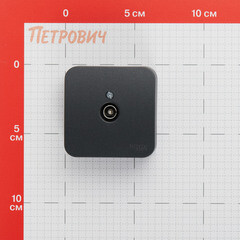 Розетка телевизионная Systeme Electric Blanca накладная антрацит (BLNTA000016) - фото 2