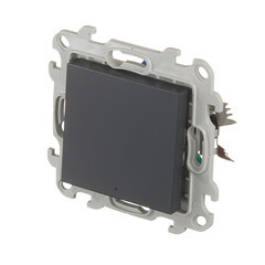 Переключатель Simon 24 Harmonie одноклавишный встраиваемый графит с подсветкой (2420204-038) - фото 4