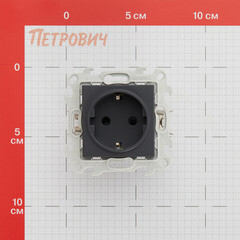 Розетка Simon 24 Harmonie встраиваемая графит со шторками (2420432-038) - фото 2