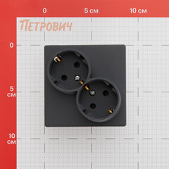 Розетка Simon 24 Harmonie встраиваемая графит (2450459-038) - фото 2