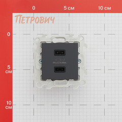 Розетка USB Simon 24 Harmonie встраиваемая графит 2хUSB-А (2411096-038) - фото 2
