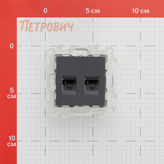Розетка компьютерная Simon 24 Harmonie встраиваемая графит 2хRJ45 (2450593-038) - фото 2