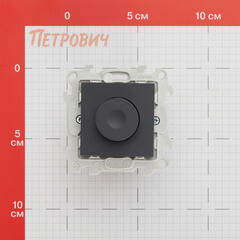 Диммер Simon 24 Harmonie встраиваемый графит (2410313-038) - фото 2