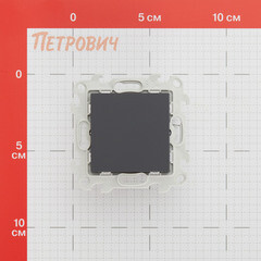 Заглушка Simon 24 Harmonie встраиваемая графит (2400800-038) - фото 2