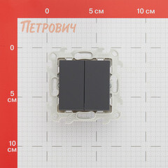 Переключатель Simon 24 Harmonie двухклавишный встраиваемый графит (2410397-038) - фото 2