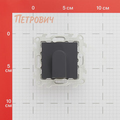 Вывод кабеля Simon 24 Harmonie встраиваемый графит (2410801-038) - фото 2