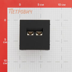 Розетка компьютерная Systeme Electric ArtGallery встраиваемая карбон 2хRJ45 (GAL001088) - фото 2