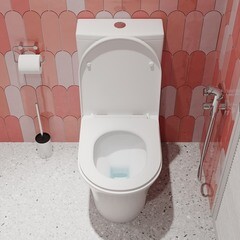 Унитаз-компакт Iddis Stone безободковый с горизонтальным выпуском с сиденьем дюропласт микролифт белый (STNRDSEi24) - фото 6