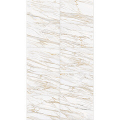 Изображение товара Панель ПВХ 250х2700х8 мм Кронапласт бесшовная цифровая печать колаката ора 4,05 кв.м (6 шт.)