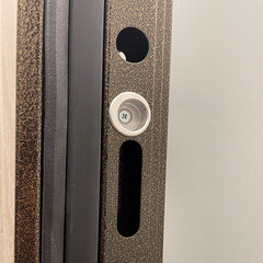 Дверь входная с терморазрывом Дверной континент Термаль Люкс правая антик медь - белый 860х2050 мм - фото 5