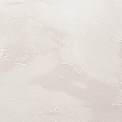 Обои компакт-винил на флизелиновой основе Victoria Stenova Isabel 287513 (1,06х10,05 м) - фото 3