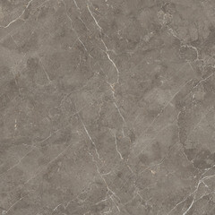 Керамогранит Lavelly Marble Aster серый матовый 600х600х8,2 мм (4шт.=1,44 кв.м) - фото 5