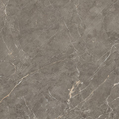 Керамогранит Lavelly Marble Aster серый полированный 800х800х9 мм (2 шт.=1,28 кв.м) - фото 9