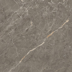 Керамогранит Lavelly Marble Aster серый полированный 800х800х9 мм (2 шт.=1,28 кв.м) - фото 8