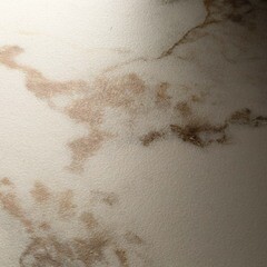 Керамогранит LB Ceramics Янссон белый 603х300х8,5 мм (8 шт.=1,44 кв.м) - фото 2